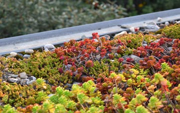 the cost of Alne green roof installation