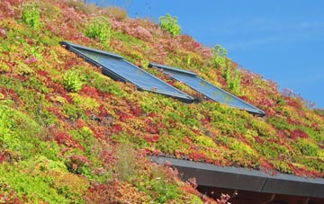 Alne living roof systems