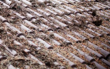 Alne roof cleaning companies